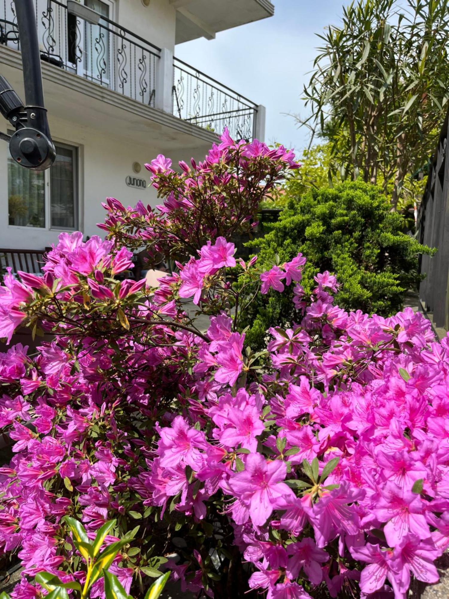 Guest House Junona Makhinjauri Exterior foto